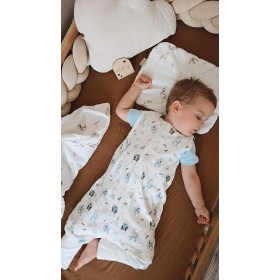 Śpiworek do spania z nogawkami Dino 2,5 TOG