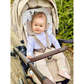 Bamboo Stroller Insert 5 pt straps Farm