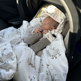 Bamboo Car Seat Blanket Geese 90x90 cm