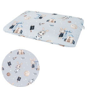Cotton Pillow for preschooler 40x60 cm Astronom