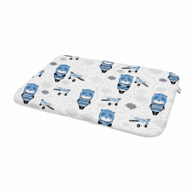Cotton Pillow for preschooler 40x60 cm Panda Pilot